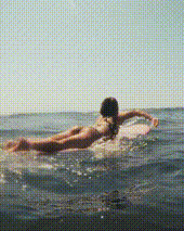 Loading Gif Animation
